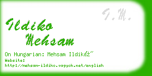 ildiko mehsam business card